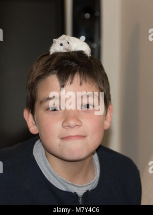 Lustiges Bild, mit einem kleinen Jungen Spaß mit einem kleinen Hamster Maus in seinem Kopf. Stockfoto