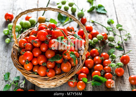 Bio Tomaten genannt Cherry Tomaten im Warenkorb auf Holztisch, Bauernhof frischen Produkten frisch vom Bauern geerntet Stockfoto