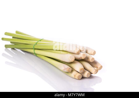 Frisches Zitronengras oder citronella Gras Blatt. Studio Schuß auf weißem Hintergrund Stockfoto