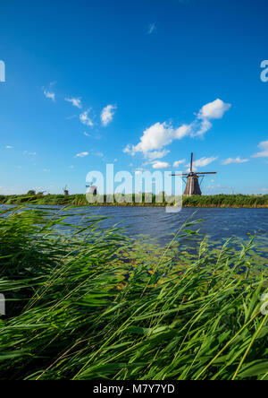 Die Windmühlen von Kinderdijk, Weltkulturerbe der UNESCO, Südholland, Niederlande Stockfoto