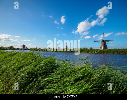 Die Windmühlen von Kinderdijk, Weltkulturerbe der UNESCO, Südholland, Niederlande Stockfoto