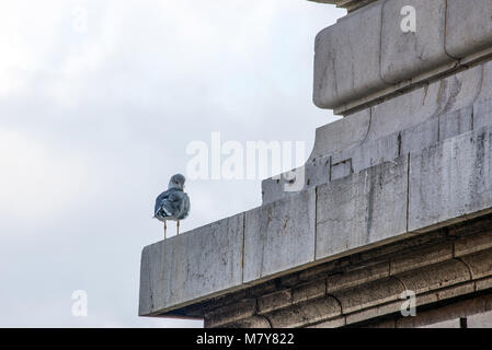 Die Möwe sitzt auf einem Felsvorsprung des Wissens in Monaco. Stockfoto