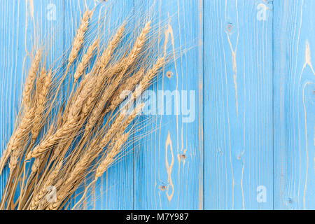 Blick von oben auf die getrocknete Weizen" auf blauer Holzplatte. Mit Freiraum für Text oder Design. Symbole der jüdische Feiertag Stockfoto