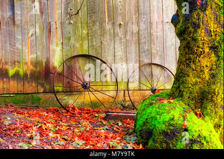 Rostigem Eisen sprach whells gegen die Seite einer Scheune mit Herbst Blätter auf dem Boden und Moos wächst auf einem Baumstamm bei Miller Woods. Stockfoto