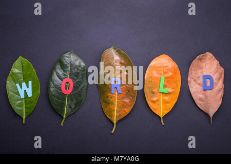 In verschiedenen Farben und Alter der Blätter der jackfrucht Baum Blätter aus frischem Grün Braun und das Wort 'Welt' auf schwarzem Stein zu trocknen. Für Welt- und Stockfoto