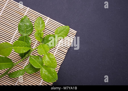 Frische Blätter der Bergamotte Baum oder kaffernlimette Blätter auf Schwarz Stein Tabelle Hintergrund. Ansicht von oben Stockfoto