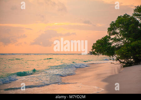 Himmlische Strand menschenleer, mit türkisblauem Wasser und rosa gelb Himmel bei Sonnenuntergang, mit Bäumen auf dem Sand in der Nähe des Meeres Stockfoto