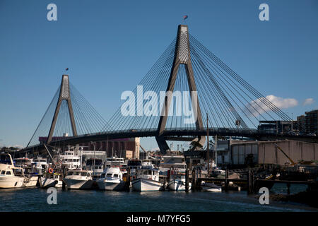 Sydney Fish Market pyrmont Sydney New South Wales, Australien Stockfoto