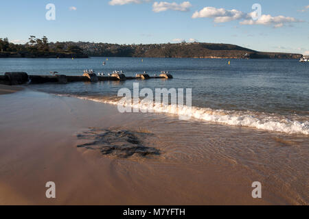 Strand hunter Balmoral Bay Strand Park mosman Sydney New South Wales, Australien Stockfoto