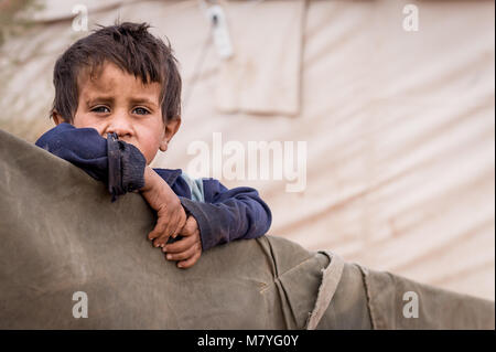 Jungen Beduinen Junge mit seiner Familie an der Grenze zu Jordanien und Saudi-Arabien. Stockfoto