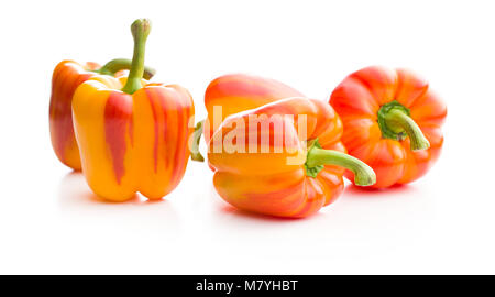 Double color Paprika auf weißem Hintergrund. Stockfoto