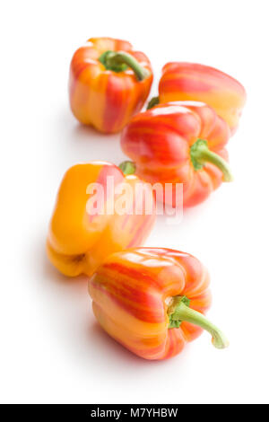 Double color Paprika auf weißem Hintergrund. Stockfoto