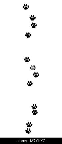 Cat-Tracks. Typische Spuren einer Hauskatze - schwarze Symbol Abbildung auf weißen Hintergrund. Stockfoto