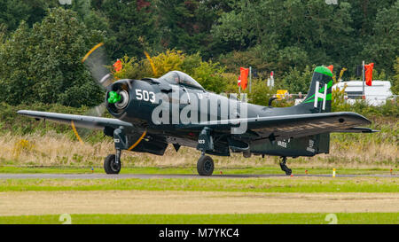 Vintage Douglas Skyraider AD-4 NA von Kennett Luftfahrt in United States Navy livery im Shoreham Airshow, UK am 1. September 2013. Stockfoto