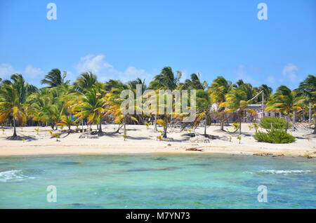 Horizontlinie mit Palmen am blauen Himmel und Wasser. Blick vom Wasser auf der Insel. Stockfoto