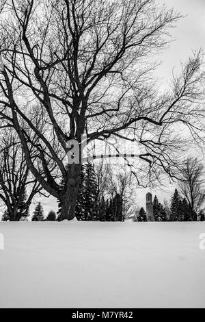 Crown Hill Memorial Park bedeckt mit Schnee Stockfoto