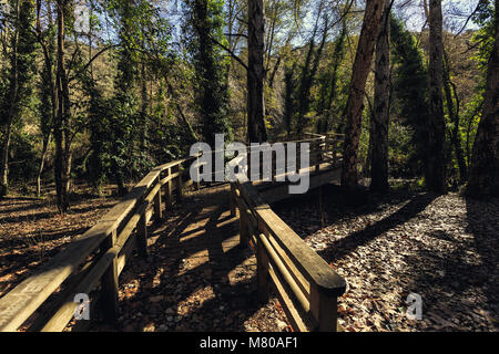 Hölzerne Brücke im Wald Stockfoto