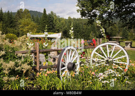 Lastwagenräder und Blumen in einem Garten Grenze in einem gepflegten Wohngebiet Garten im Sommer. Stockfoto