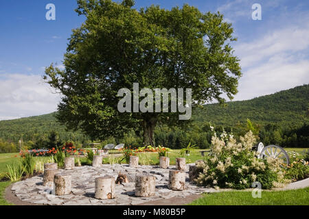 Birke Baumstümpfen im Kreis um Feuerstelle in einem angelegten Garten im Sommer. Stockfoto