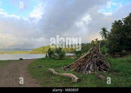 Woodpile an einem Strand am Abend Licht in der Nähe von Drake Bay in der Provinz Puntarenas, Costa Rica. Stockfoto