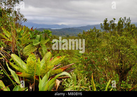 Vulkanische Landschaft vom Vulkan Arenal in der Provinz Alajuela, Costa Rica Stockfoto