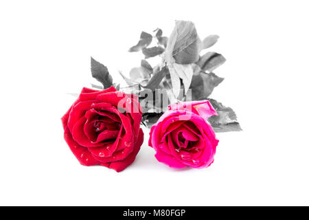 Die Rose im Konzept Wahre Liebe wird die Zeit gewinnen. Stockfoto