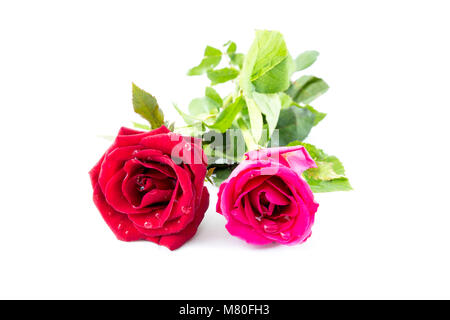 Die Rose im Konzept Wahre Liebe wird die Zeit gewinnen. Stockfoto