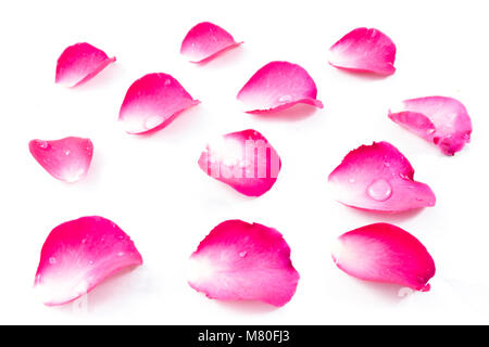 Die Rose im Konzept Wahre Liebe wird die Zeit gewinnen. Stockfoto