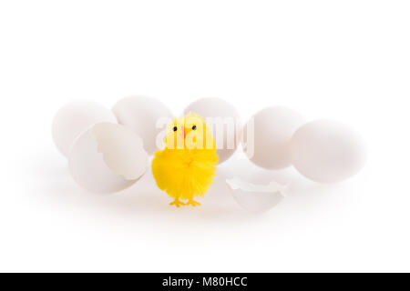 Eine süße kleine Gelb Ostern Huhn aus einem weißen Ei mit anderen weiße Eier im Hintergrund geschlüpft. Auf weiß isoliert. Stockfoto