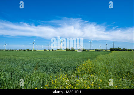 Wind Farm in der Nähe von Vadersdorf, Fehmarn, Ostsee, Schleswig-Holstein, Deutschland, Europa Stockfoto
