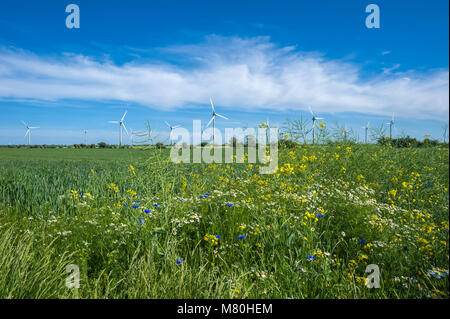 Wind Farm in der Nähe von Vadersdorf, Fehmarn, Ostsee, Schleswig-Holstein, Deutschland, Europa Stockfoto