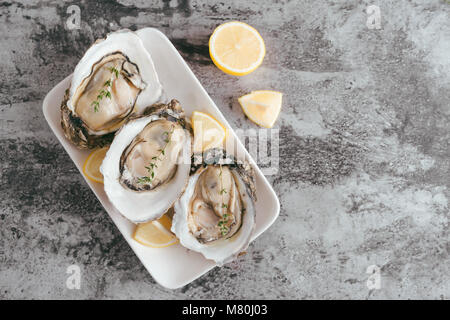 Geöffnete Austern, lemon am grauen Stein Tabelle. Halbes Dutzend. Mit Platz kopieren Stockfoto