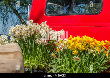 Blumen Lieferung Tag Stockfoto