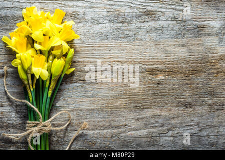 Feder Hintergründe, Ostern Osterglocken auf Holz Stockfoto