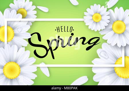 Hallo Frühling. Saisonale Poster. Gänseblümchen Blumen auf einem hellgrünen Hintergrund. Text in einem Frame. Fallende Blütenblätter und Tropfen Wasser. Vector Illustration. Stock Vektor