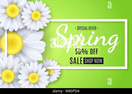 Frühling Verkauf Banner. Die weißen Blüten der Kamille auf einem hellgrünen Hintergrund. Saisonale Poster. Angebot. Vector Illustration. EPS 10. Stock Vektor