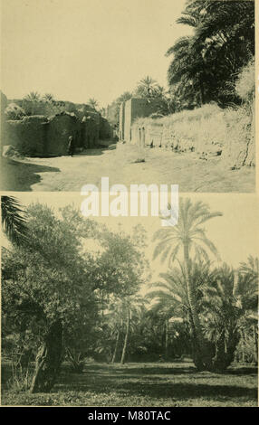 Bulletin de la société royale de botanique de Belgique (1866) (20434723165) Stockfoto