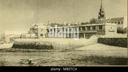 Bulletin de la société royale de botanique de Belgique (1909) (20248441130) Stockfoto