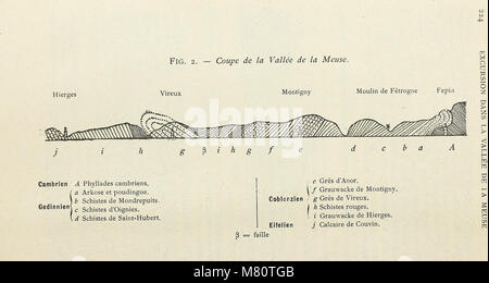 Bulletin de la Societe Belge de Naturwissenschaft, de Paleontologie et d'Hydrologie (20247389130) Stockfoto