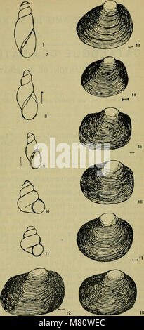 Bulletin de la Soci neuchloise des sciences naturelles (-1898) (20431805815) Stockfoto