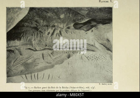 Bulletin du Muséum d'Histoire Naturelle (1907) (20439639175) Stockfoto