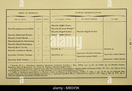 Bulletin du Muséum d'Histoire Naturelle (1918) (19817369894) Stockfoto