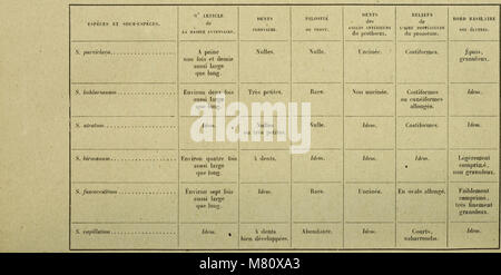 Bulletin du Muséum d'Histoire Naturelle (1919) (19817474484) Stockfoto