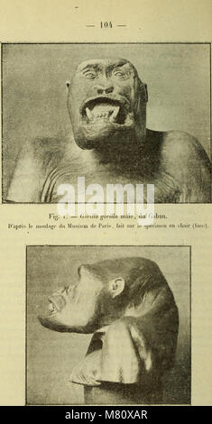 Bulletin du Muséum d'Histoire Naturelle (1920) (20253406679) Stockfoto