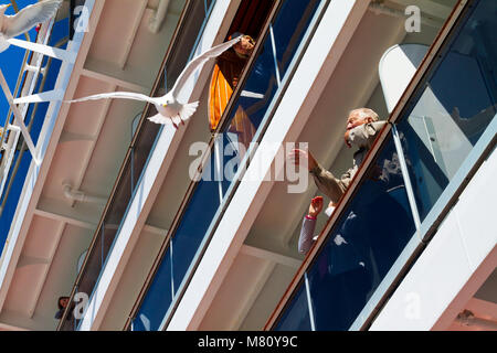 Mann feeding Seagull vom Balkon eines Kreuzfahrtschiffes. Stockfoto
