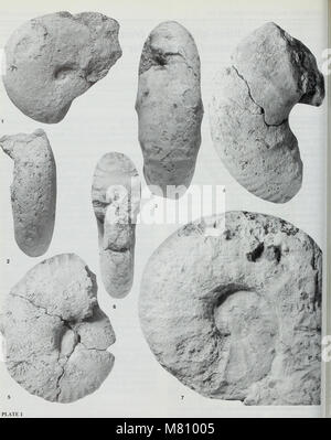 Bulletin des British Museum (Natural History), Geologie (1994) (20258471430) Stockfoto