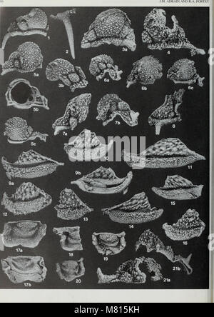 Bulletin der natürlichen Histort Museum. Geologie der Serie (1996) (20486312852) Stockfoto