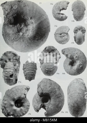 Bulletin der natürlichen Histort Museum. Geologie der Serie (1996) (20494362375) Stockfoto