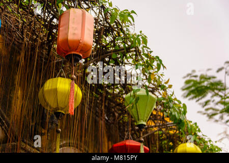 Bunte Laternen hängen außerhalb von einem Baum in Hoi An, Vietnam Stockfoto