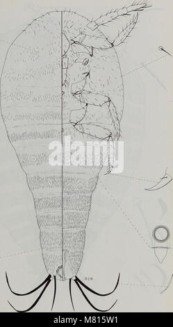 Bulletin des Natural History Museum Entomologie (1998) (20468886666) Stockfoto